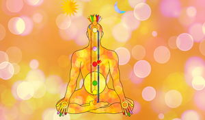 men showing the seven locations of the chakras
